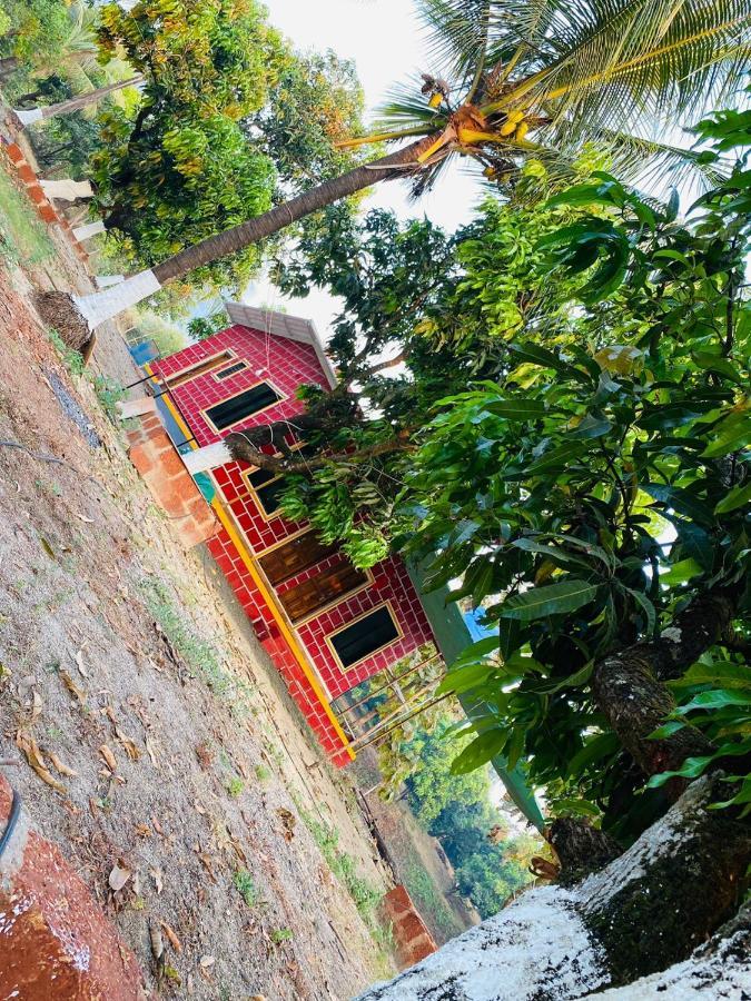 Villa Pratik Mango Farm House Revadanda Exterior foto